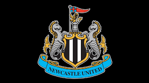Newcastle beat Burnley @ 1/3