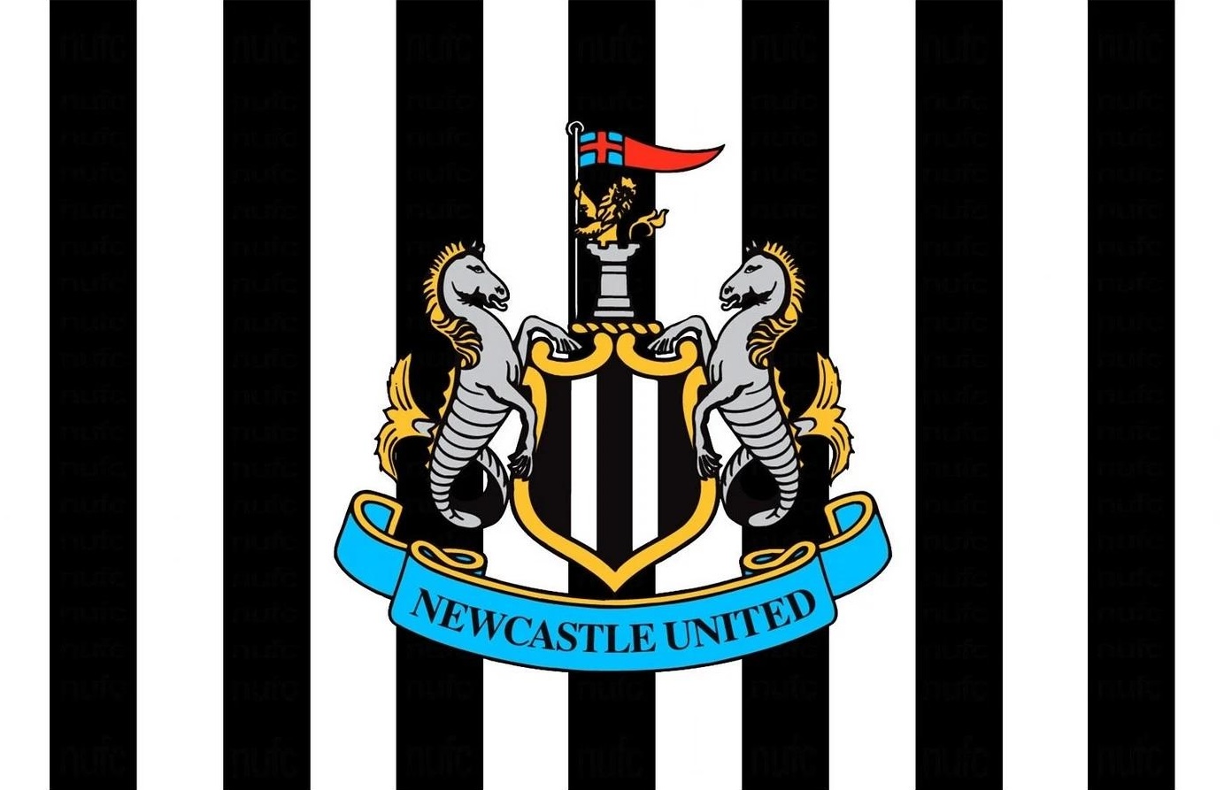 Newcastle beat Wolves 4/9