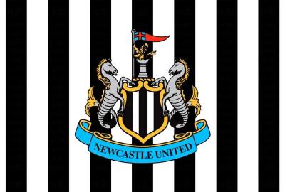 Newcastle beat Wolves 4/9
