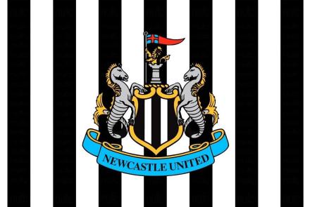 Newcastle beat Wolves 4/9